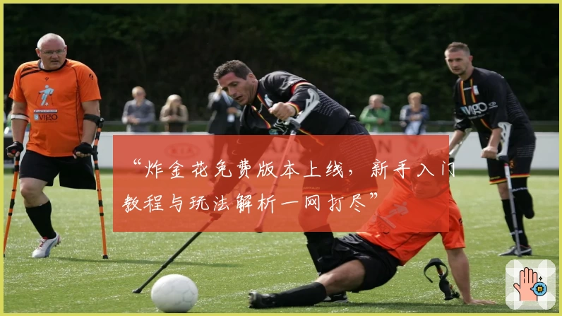“炸金花免费版本上线,新手入门教程与玩法解析一网打尽”