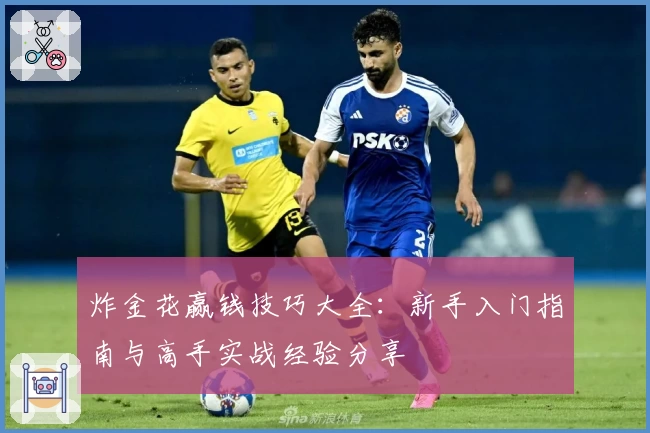 炸金花赢钱技巧大全：新手入门指南与高手实战经验分享