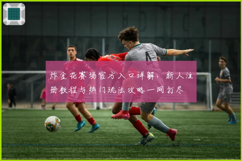 炸金花赛场官方入口详解，新人注册教程与热门玩法攻略一网打尽