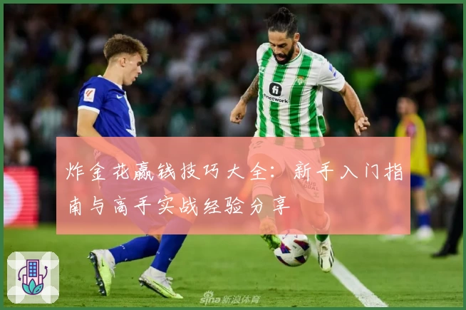炸金花赢钱技巧大全：新手入门指南与高手实战经验分享