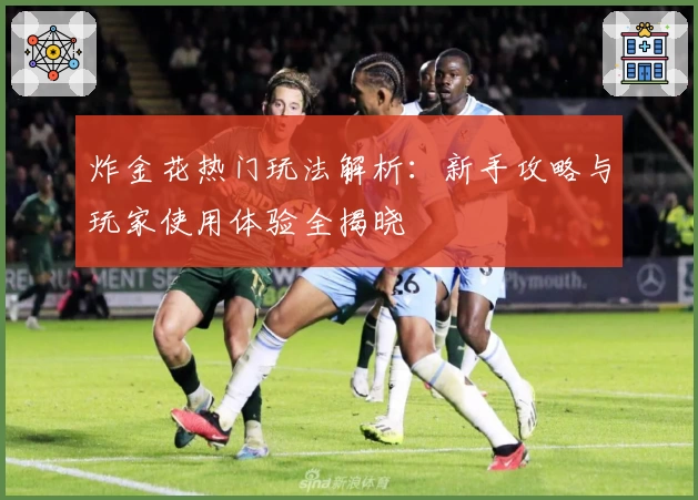 炸金花热门玩法解析：新手攻略与玩家使用体验全揭晓