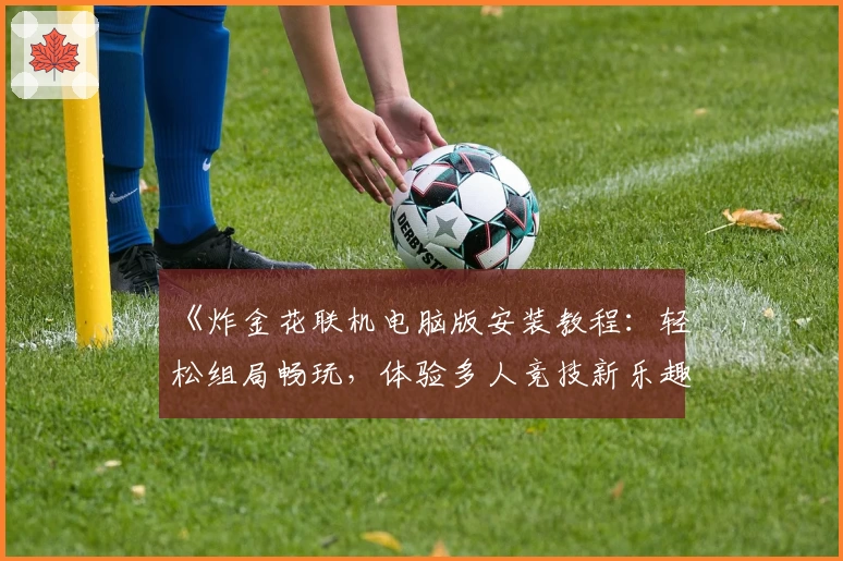 《炸金花联机电脑版安装教程：轻松组局畅玩，体验多人竞技新乐趣》